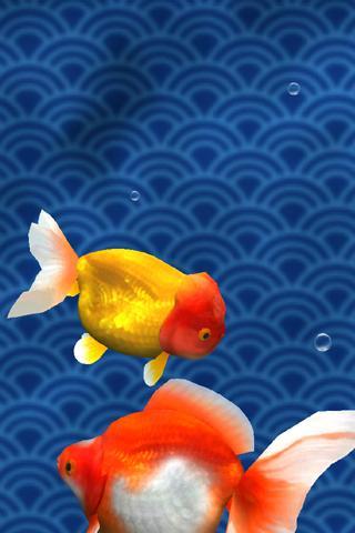 Gold Fish 3D free LWP