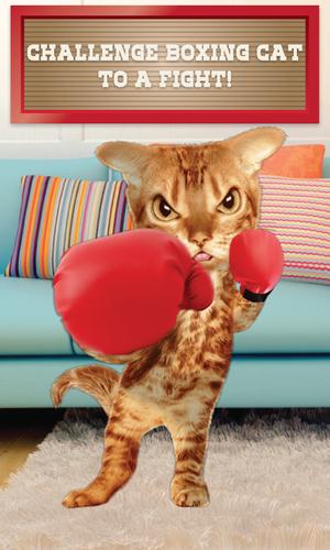 Boxing Cat