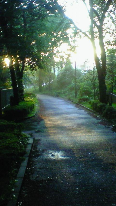 D33m_Test_DF_IABv3_04 TP