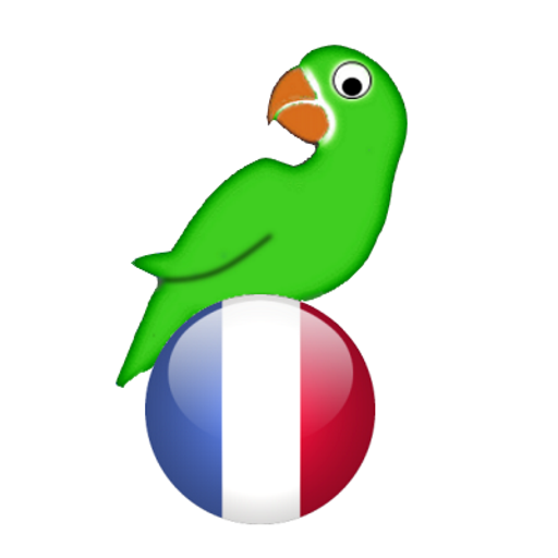Learn French from scratch
