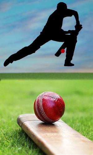 Cricket Matches