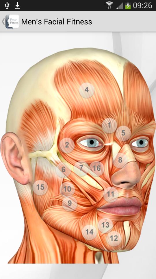 Men's Facial exercises