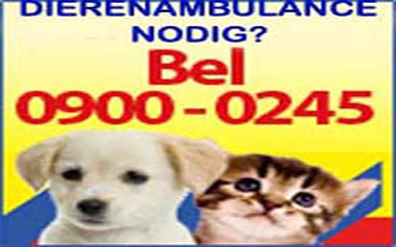 Dierenambulance
