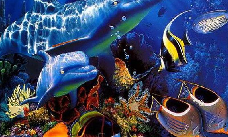 Dream Magical World Escape