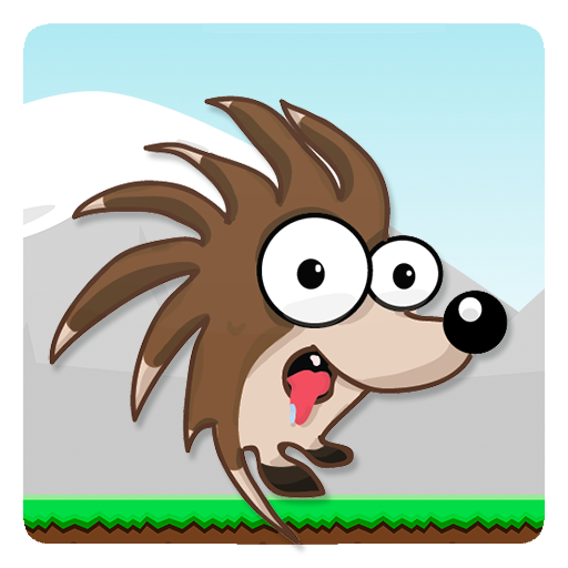 Hedgie Ball